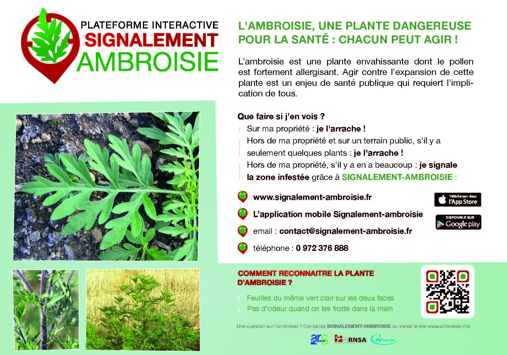 Flyerparticipationlutte Page 2