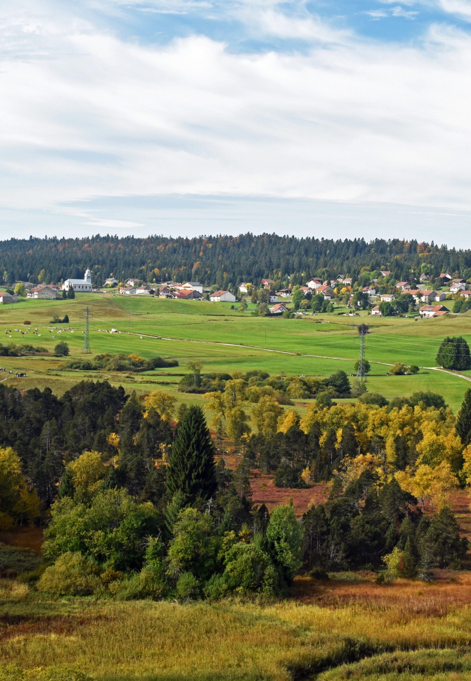 nanchez